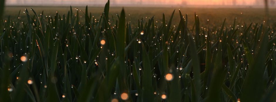 Workshop: Systemische Aufstellung