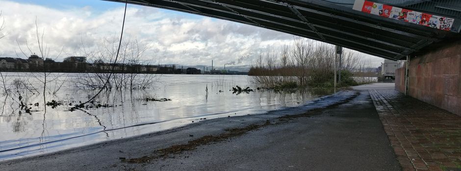 Hochwasser in Mainz: Erste Veranstaltungen abgesagt