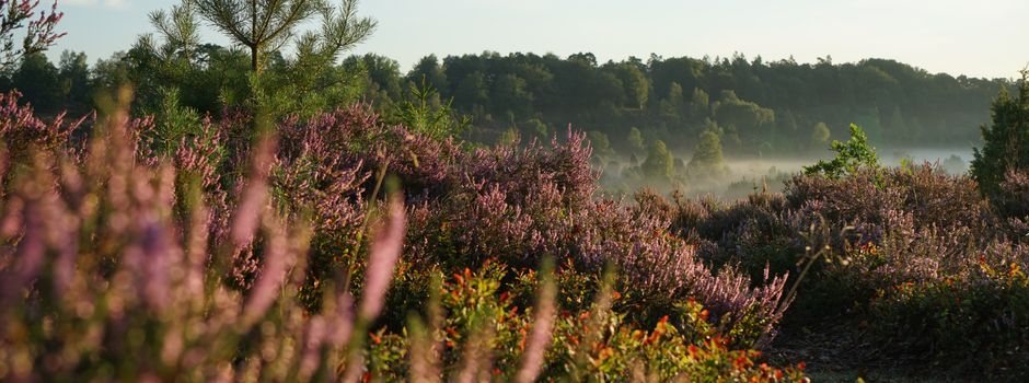 Morgens zum Totengrund