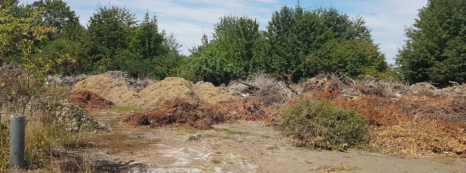 Ablagerung von Abfällen in der Gemarkung und im Rhein-Selz-Park Nierstein