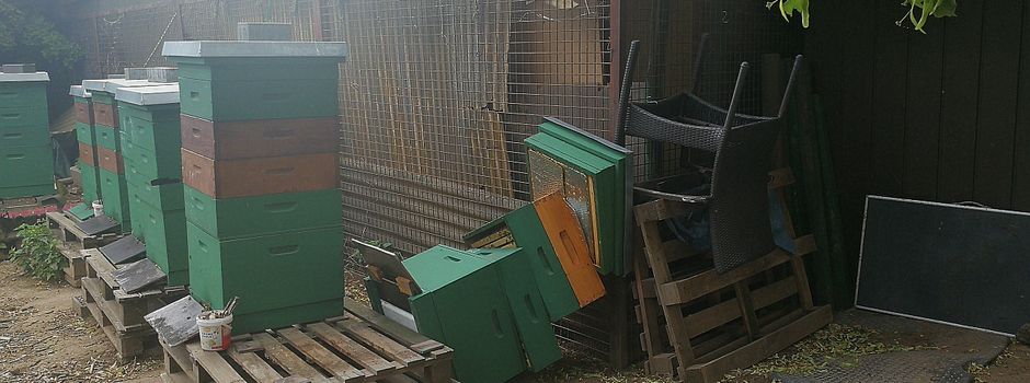 Mondorf: Bienenstöcke gewaltvoll beschädigt