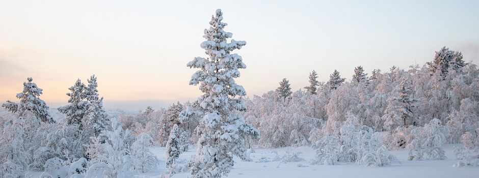 Starker Schneefall: erster Einsatz in 2026