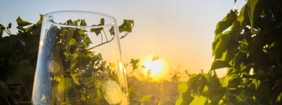 „Beste Weinlokale Deutschlands“: Mainzer Restaurant dabei