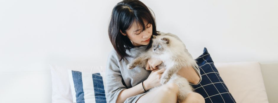 „Ein Tierheim ist kein Tierhandel“