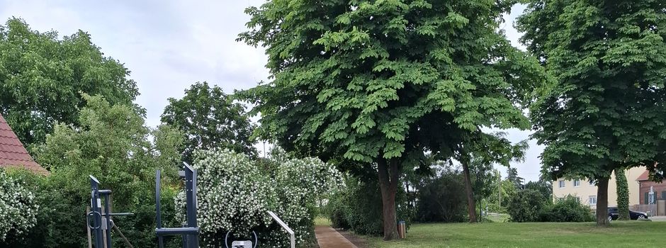 Neuer Fußweg im Park Neuenhofe eröffnet