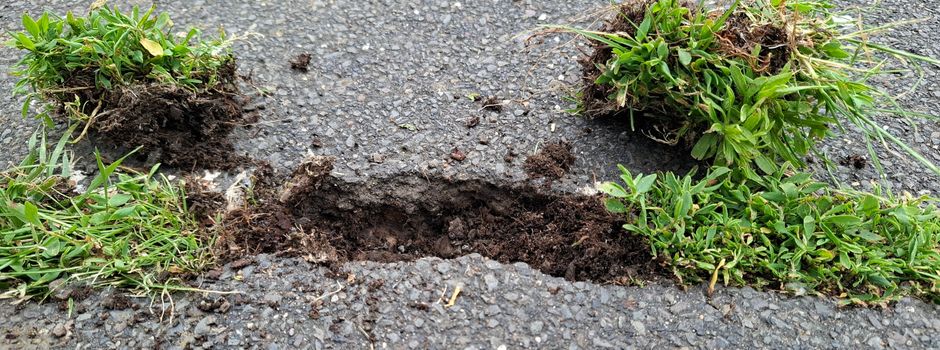 Erneuerung des Radweges auf der Deichkrone des Rheindeiches zwischen Niederkassel-Ort und Rheidt