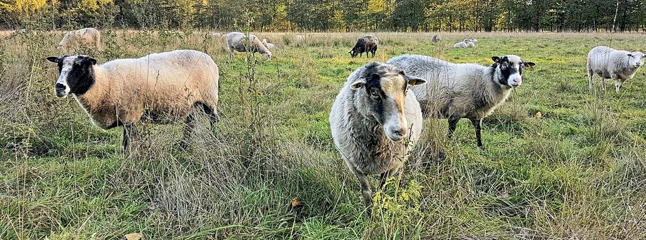 Öffentliche Veranstaltung zum Thema „Solidarische Landwirtschaft“