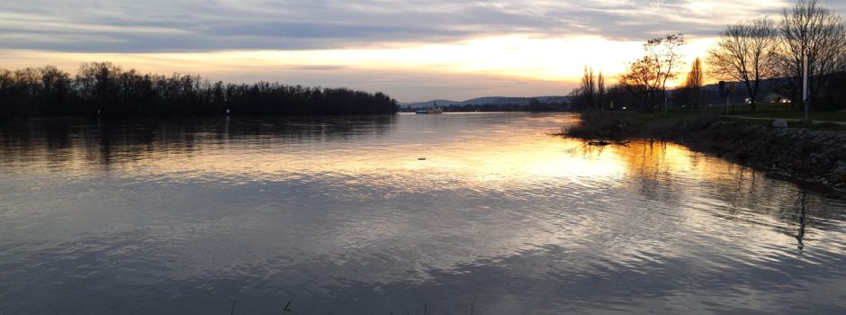 Mann unter Drogen schwimmt im Rhein – Rettungseinsatz in Walluf
