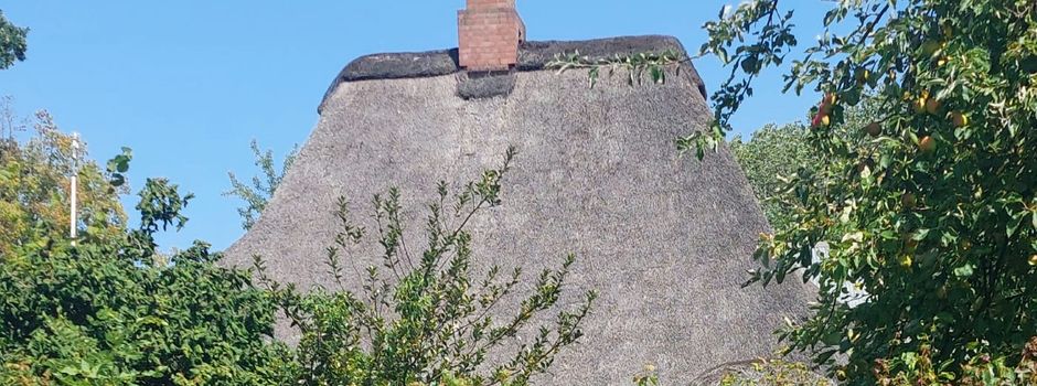 Familie Storch aus Manhagen 