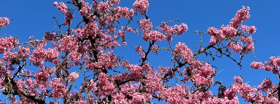 Liebe, Feste, Entdecken – das Wochenende in Augsburg