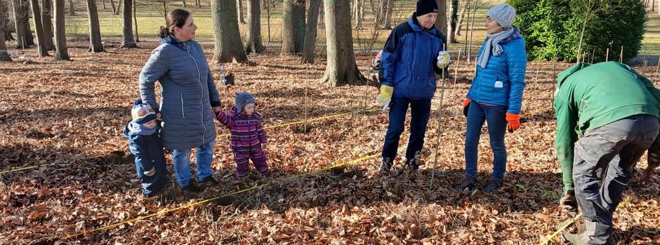 Pflanzaktion "Buche" im Schlosspark