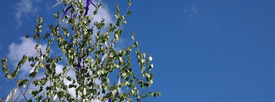 Maibaumstellen
