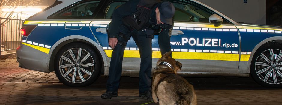 Verfolgungsjagd durch Mainz: Polizeihund stoppt 17-jährigen Motorrad-Dieb