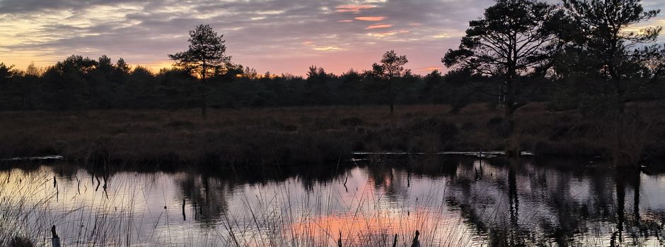 Sie sind noch da !!!   Kraniche trotz Vogelgrippe