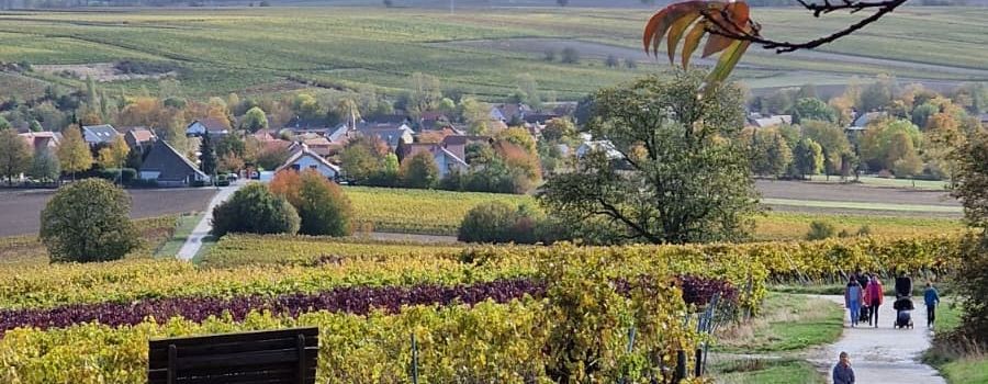 Das war die 18. Herbstwanderung 