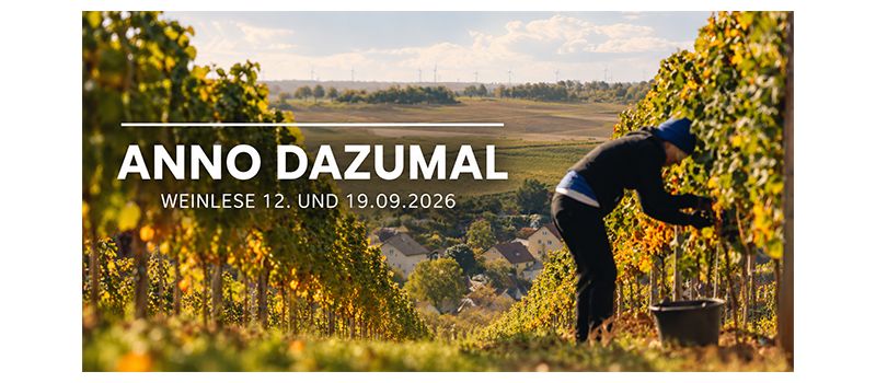Traditionelle Handarbeit im Weinberg: „Weinlese Anno Dazumal“ in Nierstein