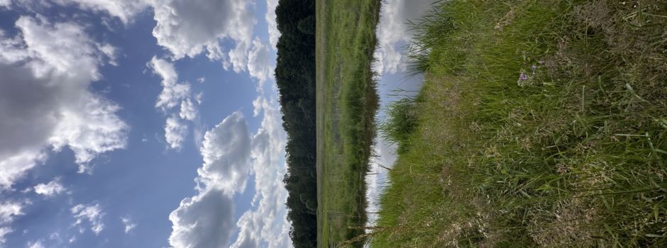 Der Zierower Bach und seine Renaturierung