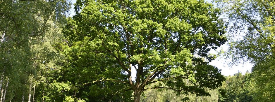 Aktion saubere Landschaft