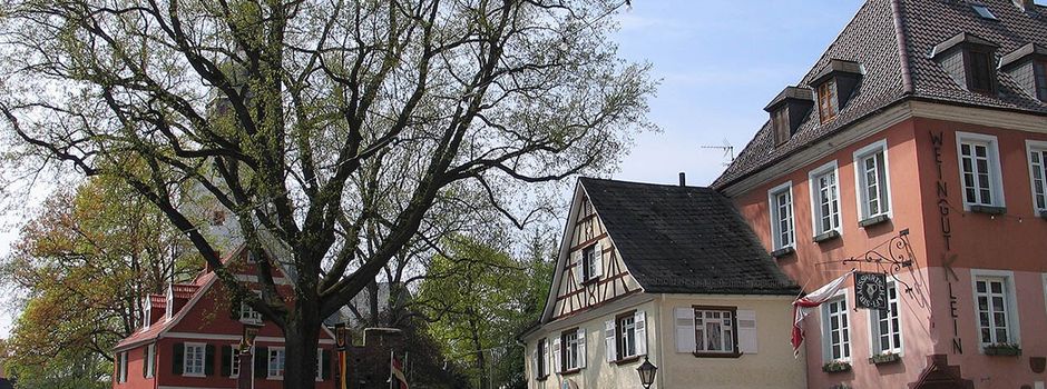 Nierstein setzt Zeichen: „Marktplatz für Demokratie“ geht in die zweite Runde