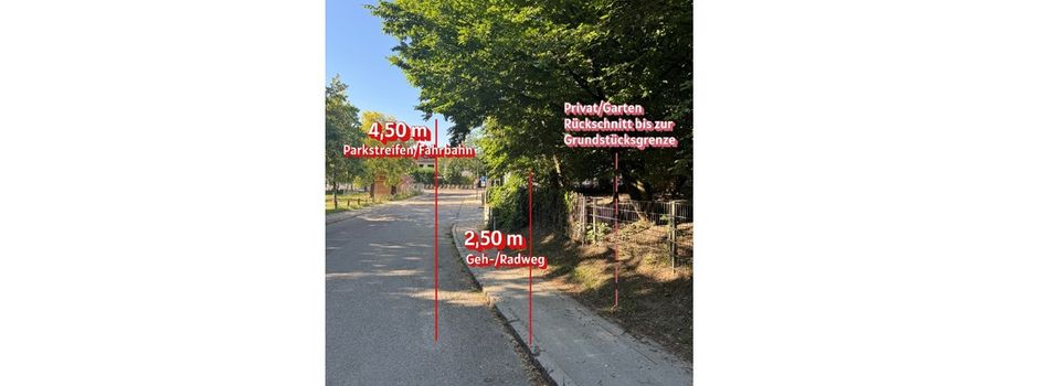 Rechtzeitiger Rückschnitt von Hecken, Sträuchern und Bäumen!