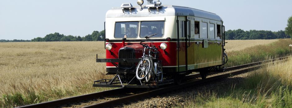 Ameisenbär fährt nicht