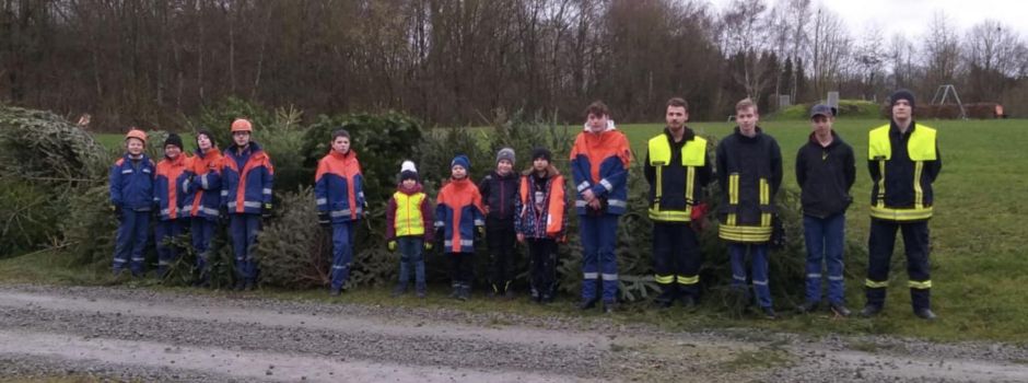 Einsammeln der Weihnachtsbäume