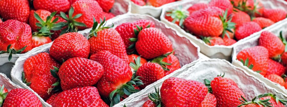 Wo ihr jetzt Erdbeeren in Wiesbaden bekommt