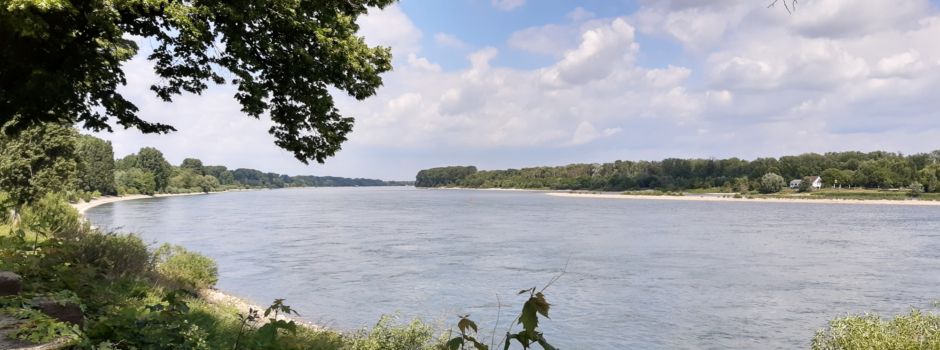 Getötete 15-Jährige offenbar vor Tod misshandelt