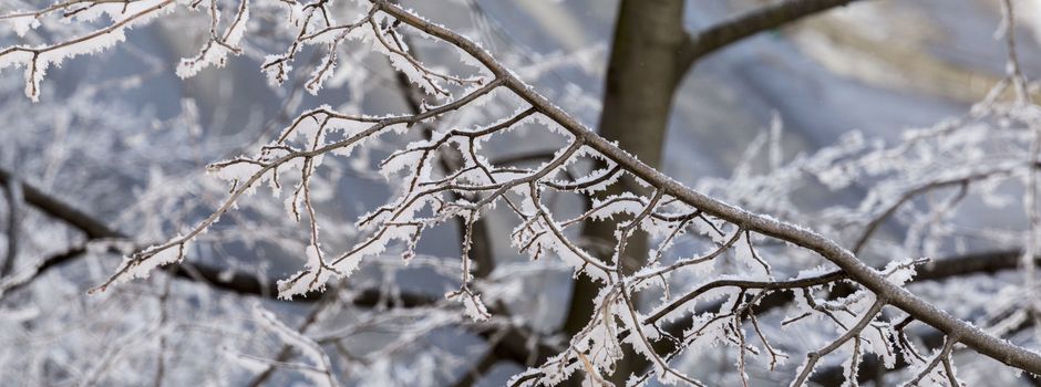 Busbetrieb heute eingestellt