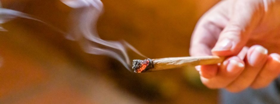 Konsumverbot von Cannabis: Stadt Niederkassel informiert über die geltenden Regeln