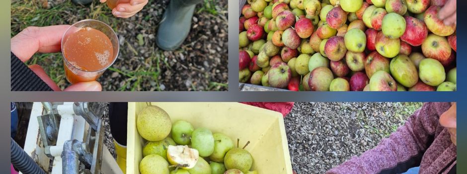 Apfelfest auf der Wiese