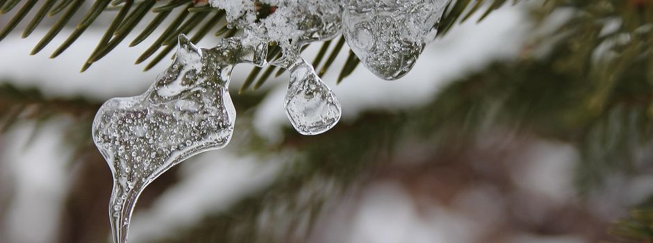 Neujahrsgruß aus dem Rathaus