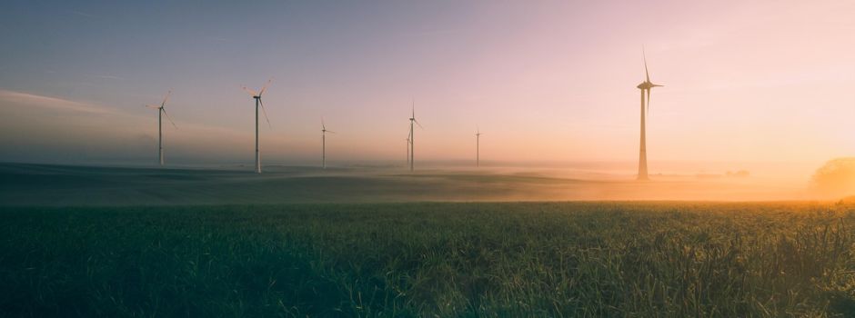 Regionales Zukunftsprogramm „Regional.Zukunft.Nachhaltig.“