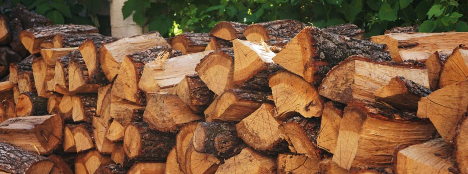 Mehr Holzdiebstähle in hessischen Wäldern