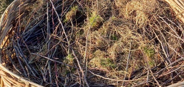 Neues Storchennest am Festplatz in Neuendorf 