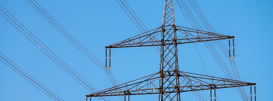 Kartierungsarbeiten zur Trassenplanung