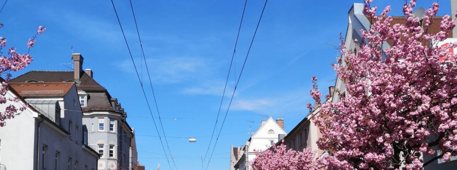 Kirschblütenfestival in Oberhausen: Buntes Treiben zum Start in den Mai