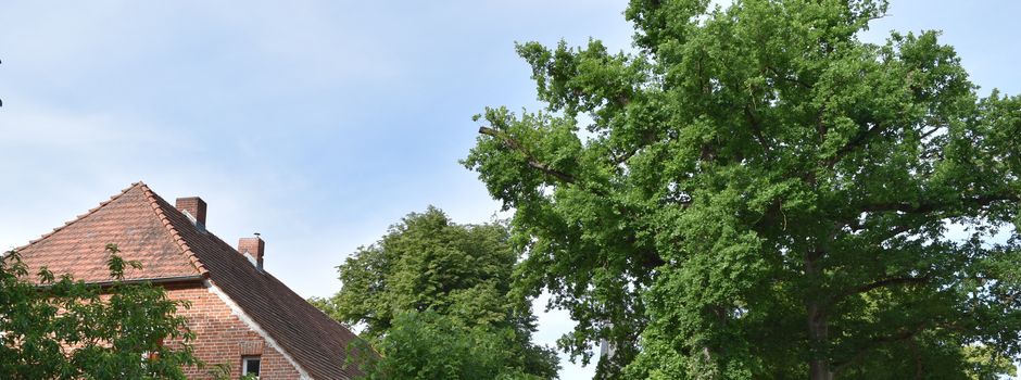 Schwanbeck im Fernsehen