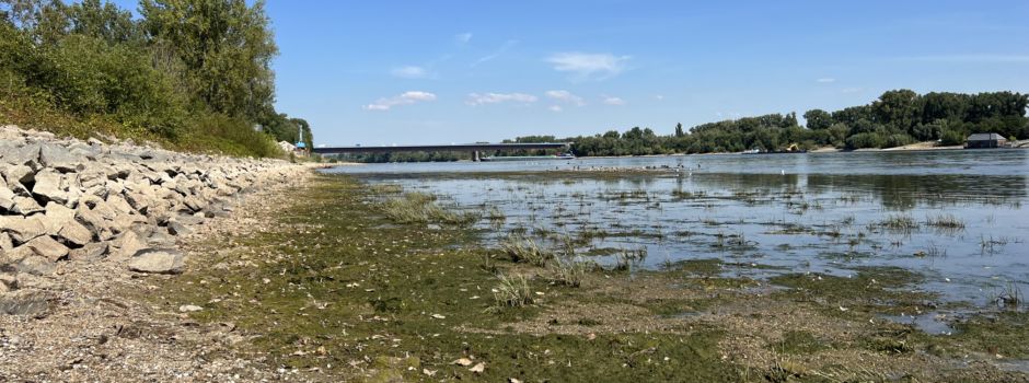 Rheinpegel bei Mainz auf neuem Tief