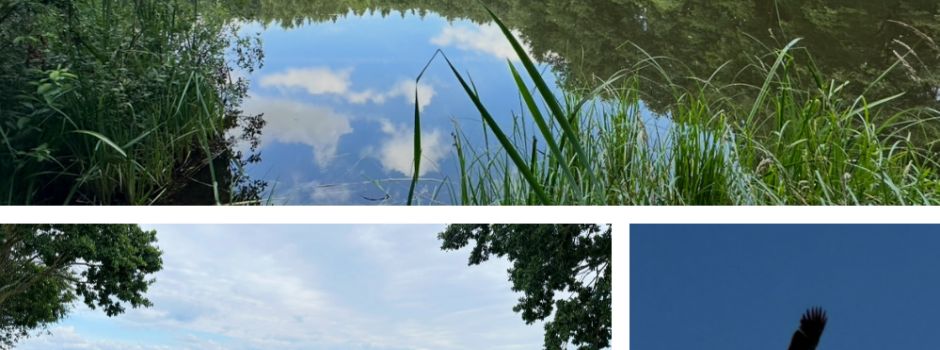 Erinnerungen an den Sommer – Auf dem Rad unterwegs