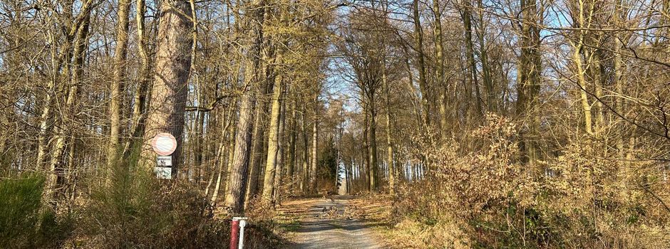 Unfallgefahren durch querliegende Äste