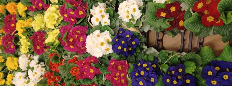 Generalversammlung bei den LandFrauen