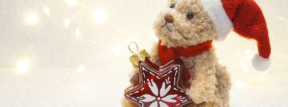 Nikolaustour des Pfälzerwald Vereins Ortsgruppe Erlenbrunn