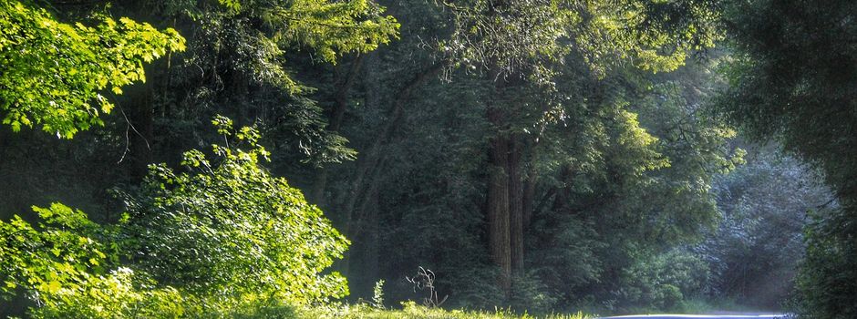 K41: Baumaßnahme zwischen Appelner und Abelhorster Weg