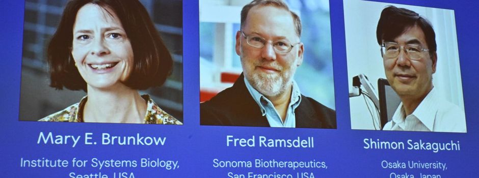Medizin-Nobelpreis für Immunforscher aus Japan und den USA