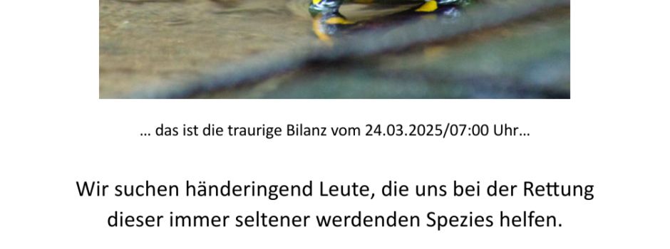 Feuersalamander retten!