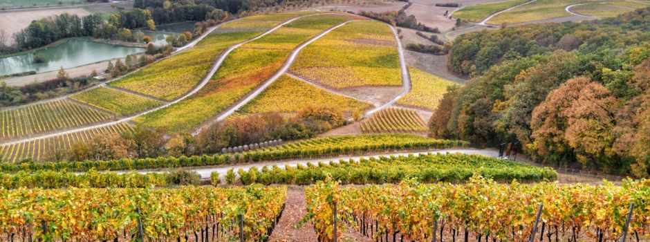 Genüsslich durch den Herbst: Rezepte und Weintipps aus Franken