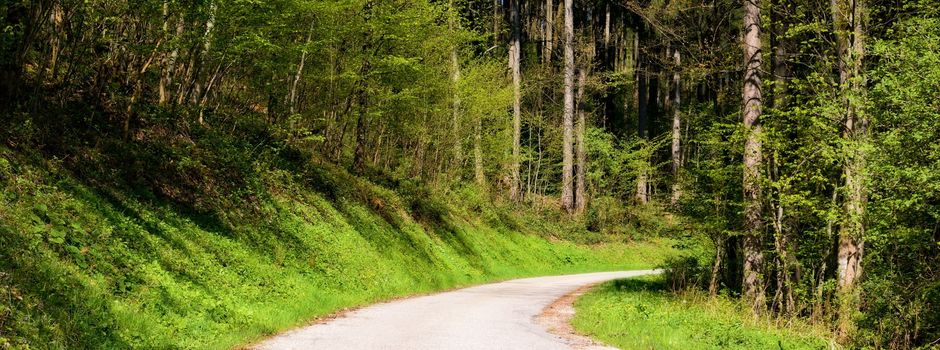 Verkehrseinschränkungen im Elztal