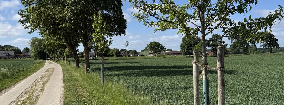 Neue Bäume für Schillsdorf: Unsere grüne Zukunft