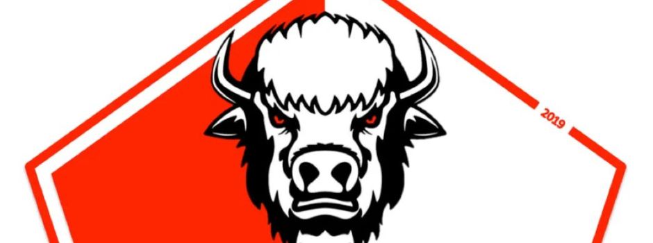 Positives aus unserer Fußballabteilung  des TSV unserer SpVgg Bison e.V.